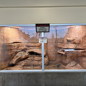 Main Herp Habitat (Empty) - Desert Zone - Small Animal Building