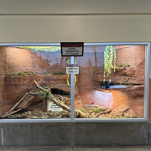 Main Herp Habitat (Empty) - Desert Zone - Small Animal Building