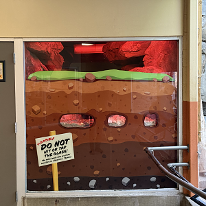 Naked Mole Rat Habitat - Desert Zone - Small Animal Building