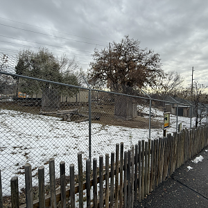 Markhor Habitat (Left Side) - Asian Highlands/South Hill