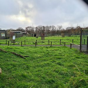 Wallaby walkthrough, Knockhatch