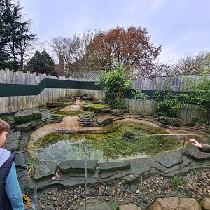 ASCO Enclosure, Knockhatch