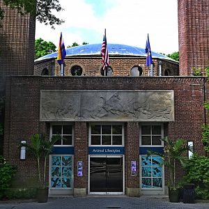 Animal Lifestyles - Exterior