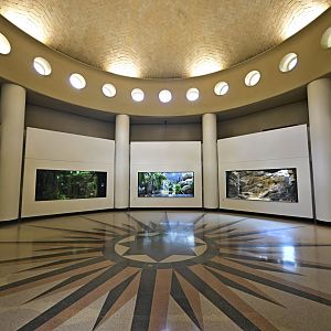 Animal Lifestyles - Interior