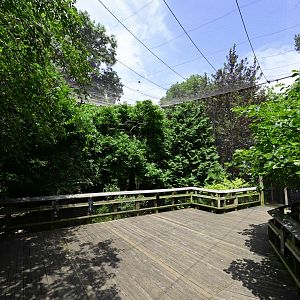 Discovery Trail Aviary - Overview