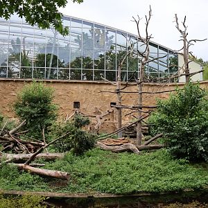 Afrikahaus - Mandril enclosure