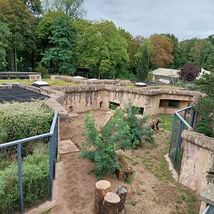 Historical Raubtierfelsen - Lion enclosure
