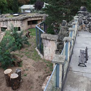 Historical Raubtierfelsen - Lion enclosure