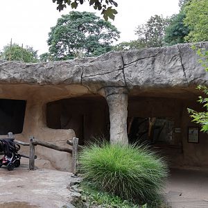 Historical Raubtierfelsen - Caracal