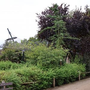 Historical Raubtierfelsen - Caracal enclosures