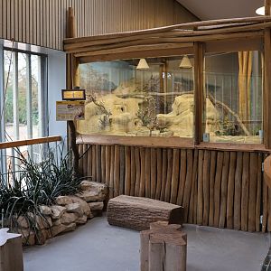 Giraffe building - First floor - Gundi exhibit