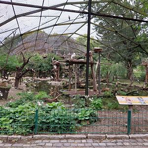 Stork aviary