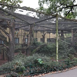 Red-fronted macaw aviary