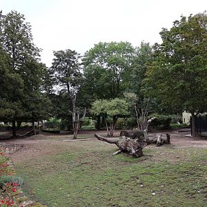 Nilgau and Common Hog Deer enclosure