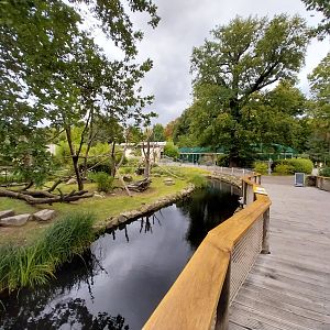 Professor Brandes Haus - Lion-tailed macaque island