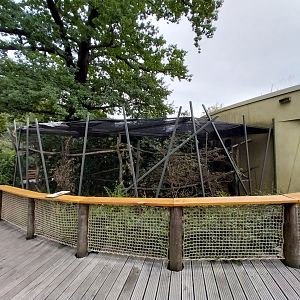 Professor Brandes Haus - Crowned lemur enclosure