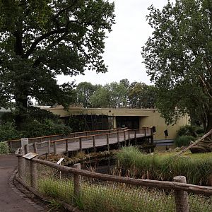 Professor Brandes Haus - Entrance