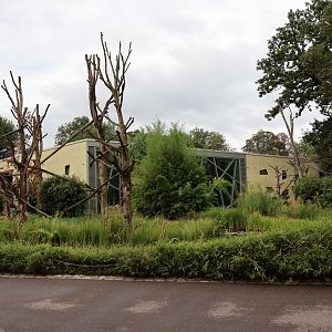 Professor Brandes Haus - Kikuyu Guereza (left) and Red Howler Monkey (right) island