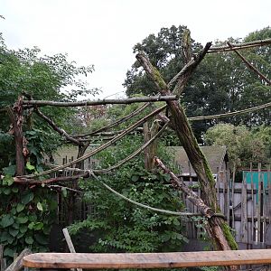 Professor Brandes Haus - Linnaeus' two-toed sloth enclosure