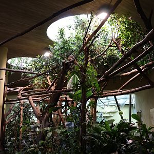 Professor Brandes Haus - General view