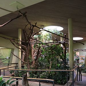 Professor Brandes Haus - General view