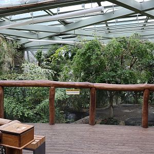 Professor Brandes Haus - False Gharial enclosure