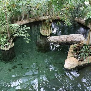 Professor Brandes Haus - False gharial enclosure