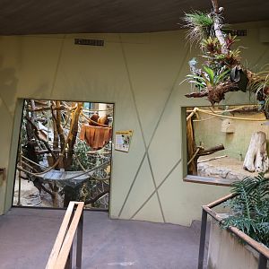 Professor Brandes Haus - Red Howler Monkey enclosure