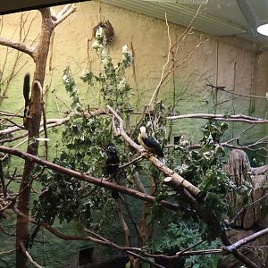 Professor Brandes Haus - Mixed species enclosure