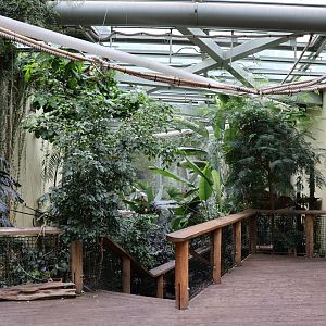 Professor Brandes Haus - General view