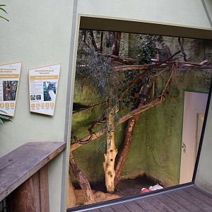 Professor Brandes Haus - White-faced Saki and Southern tamandua enclosure
