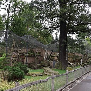 Snowleopard enclosures