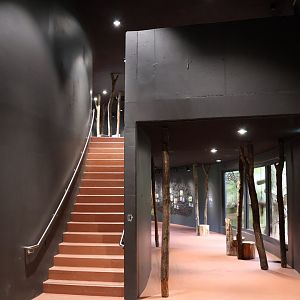 Orang-Utan Haus - General view