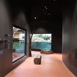 Orang-Utan Haus - General view