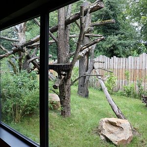 Orang-Utan Haus - Binturong enclosure