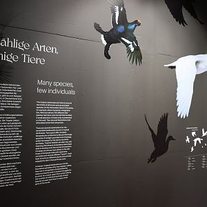 Orang-Utan Haus - Education