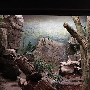 Orang-Utan Haus - Reticulated Python enclosure