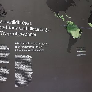 Orang-Utan Haus - Education