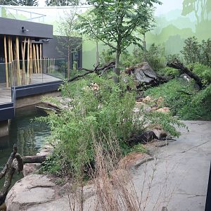 Orang-Utan Haus - Indochinese Smooth-coated otter enclosure