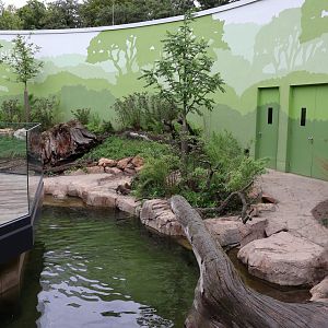 Orang-Utan Haus - Indochinese Smooth-coated Otter enclosure