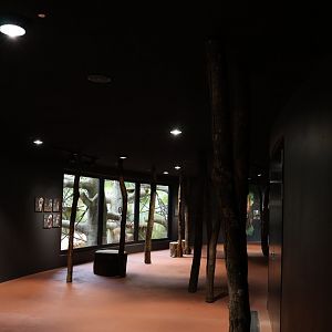 Orang-Utan Haus - First floor
