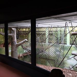 Orang-Utan Haus - First floor