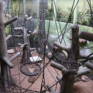 Orang-Utan Haus - First floor