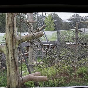 Orang-Utan Haus - First floor