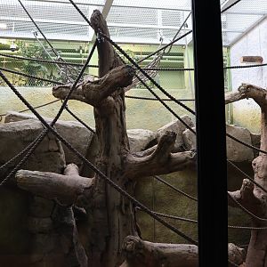 Orang-Utan Haus - Ground floor