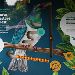 New signage for wild Kererū