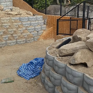 Mountain animal exibit construction open in 2025