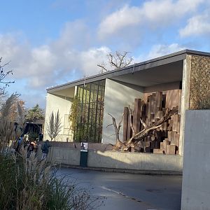 View towards Monkey House outdoor habitats 261124