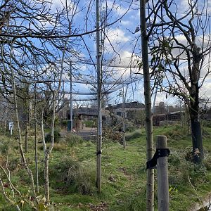 Australian Aviary 261124