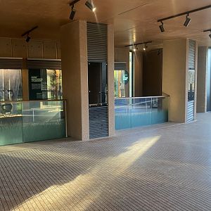 Elephant House indoors 261124